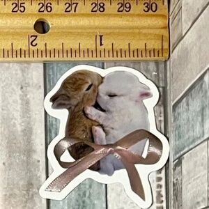 🌀10/$10🌀 Fancy Flirty Pink Reusable Waterproof Vinyl Sticker Decal